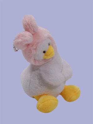 ​Bunny Ducky